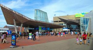 New England Aquarium   By Beyond My Ken   Wikimedia